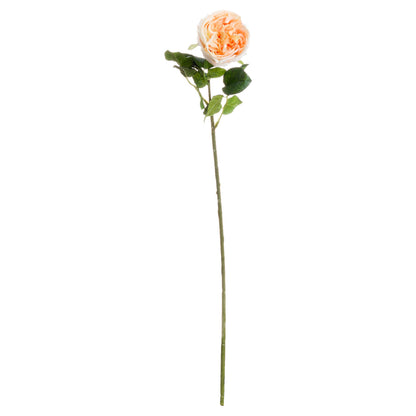 Butter Portland Rose by Hill Interiors - image 2