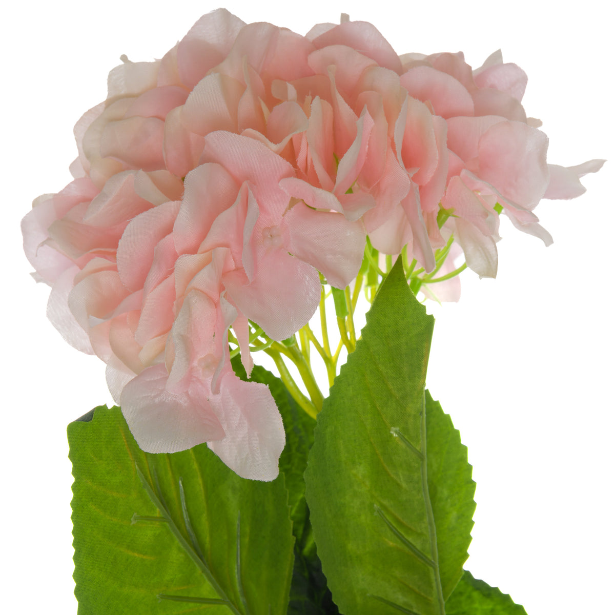Single Pink Hydrangea by Hill Interiors - image 2