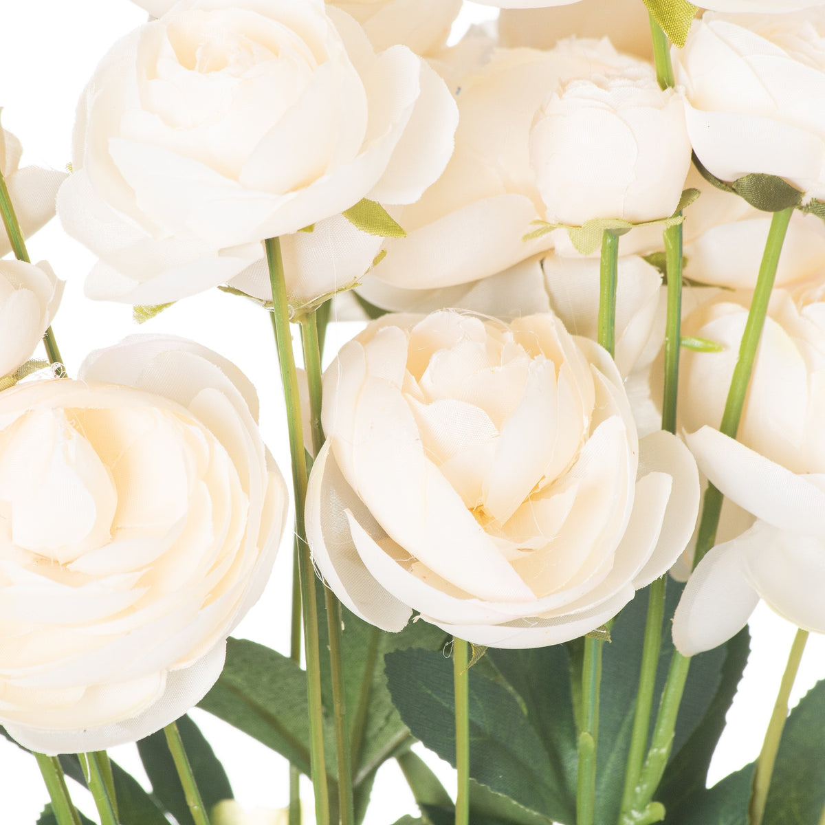 Cream Ranunculus by Hill Interiors - image 2