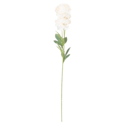 Cream Ranunculus by Hill Interiors - image 3