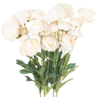 Cream Ranunculus by Hill Interiors