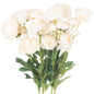 Cream Ranunculus by Hill Interiors