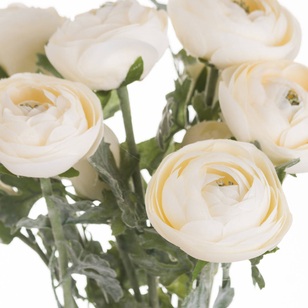 Soft Cream Ranunculus by Hill Interiors - image 2