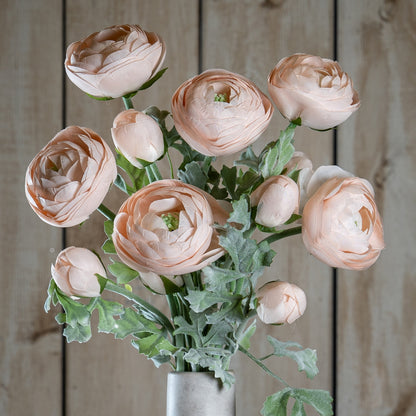 Pastel Pink Ranunculus by Hill Interiors