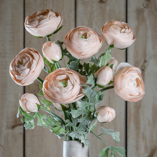 Pastel Pink Ranunculus by Hill Interiors