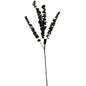 Silver Dollar Eucalyptus by Hill Interiors