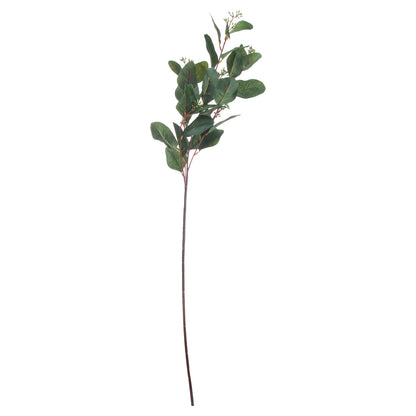 Summer Seeded Eucalyptus by Hill Interiors - image 2