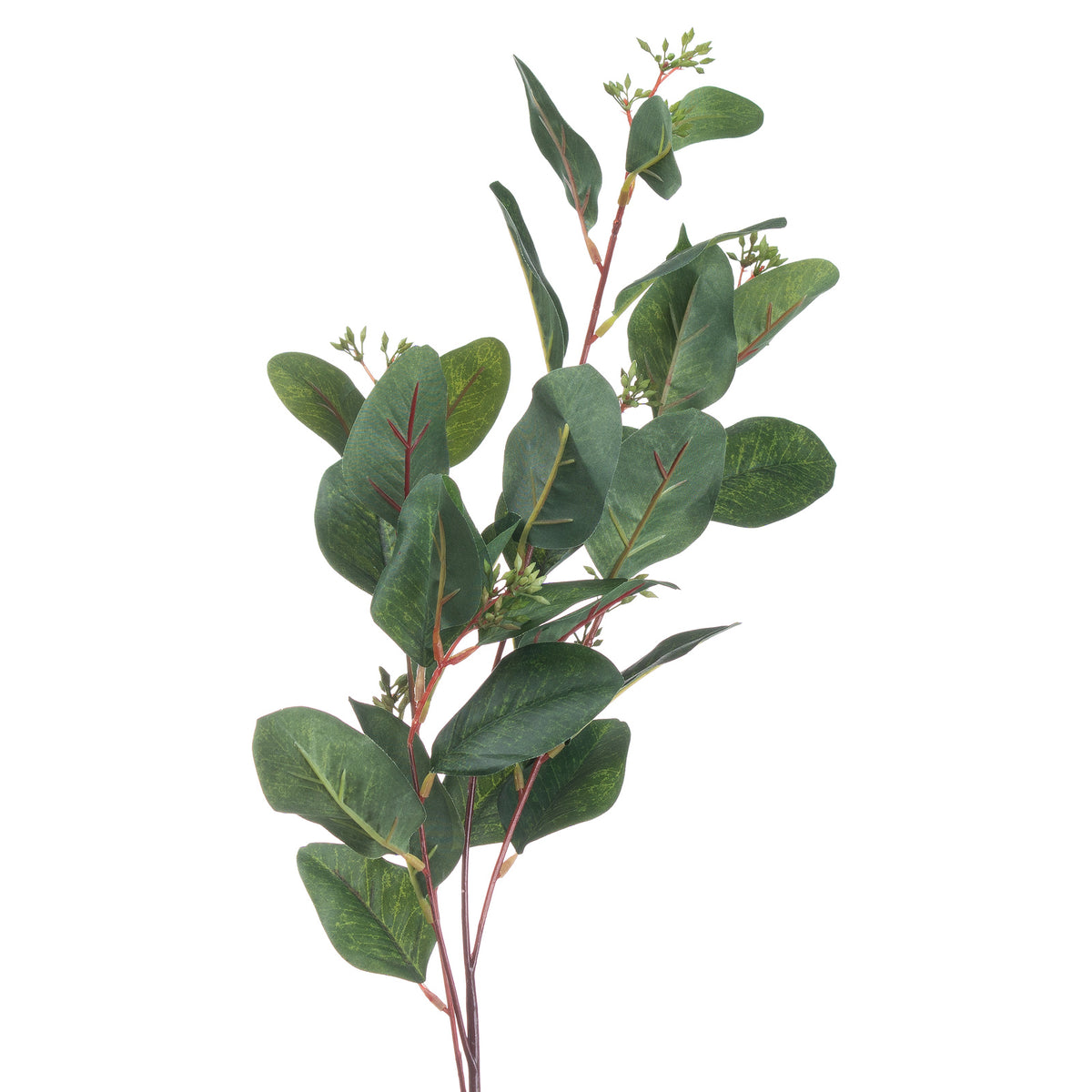 Summer Seeded Eucalyptus by Hill Interiors - image 3