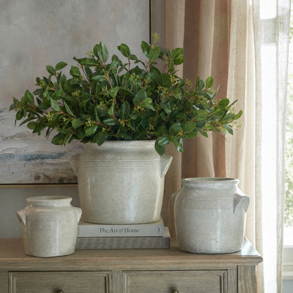 Summer Seeded Eucalyptus by Hill Interiors