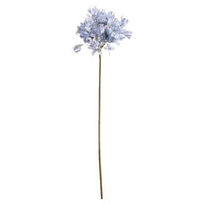 Light Blue Large Headed Agapanthus by Hill Interiors - image 2