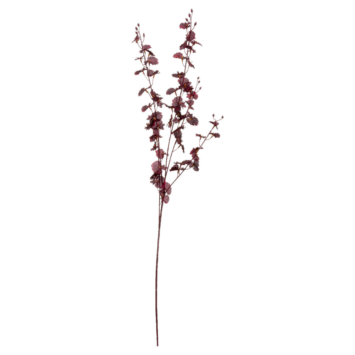 Deep Burgundy Orchid Spray by Hill Interiors - image 2