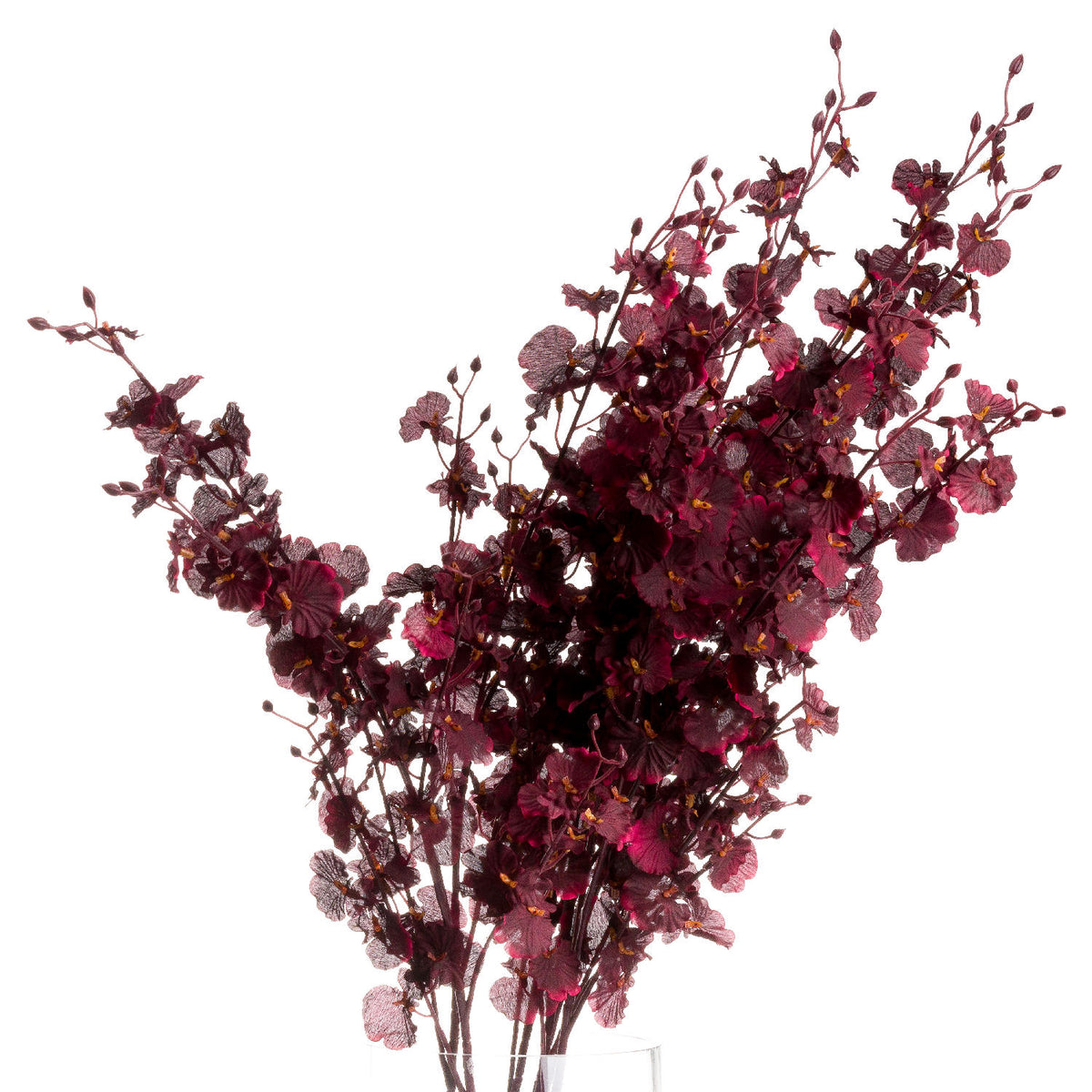 Deep Burgundy Orchid Spray by Hill Interiors
