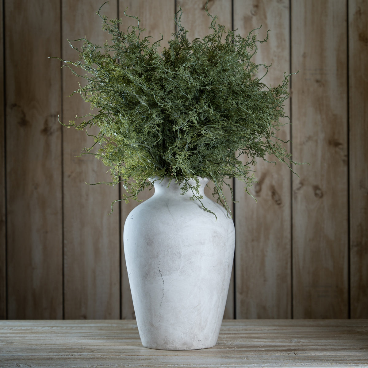 Asparagus Fern Bunch by Hill Interiors - image 2