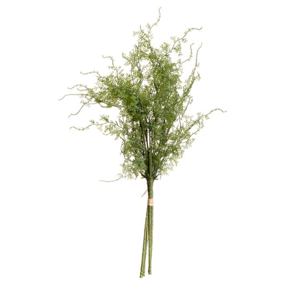 Asparagus Fern Bunch by Hill Interiors - image 3