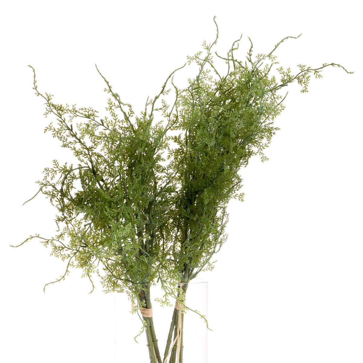 Asparagus Fern Bunch by Hill Interiors - image 4