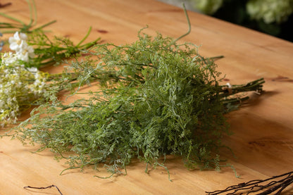 Asparagus Fern Bunch by Hill Interiors - image 5