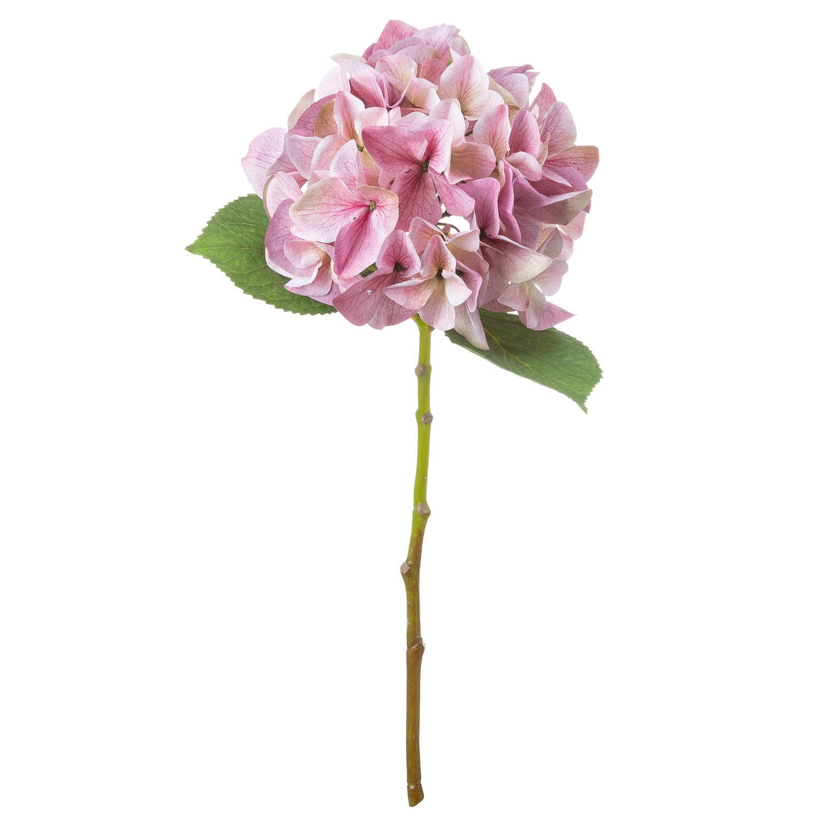 Shabby Pink Single Hydrangea by Hill Interiors - image 2