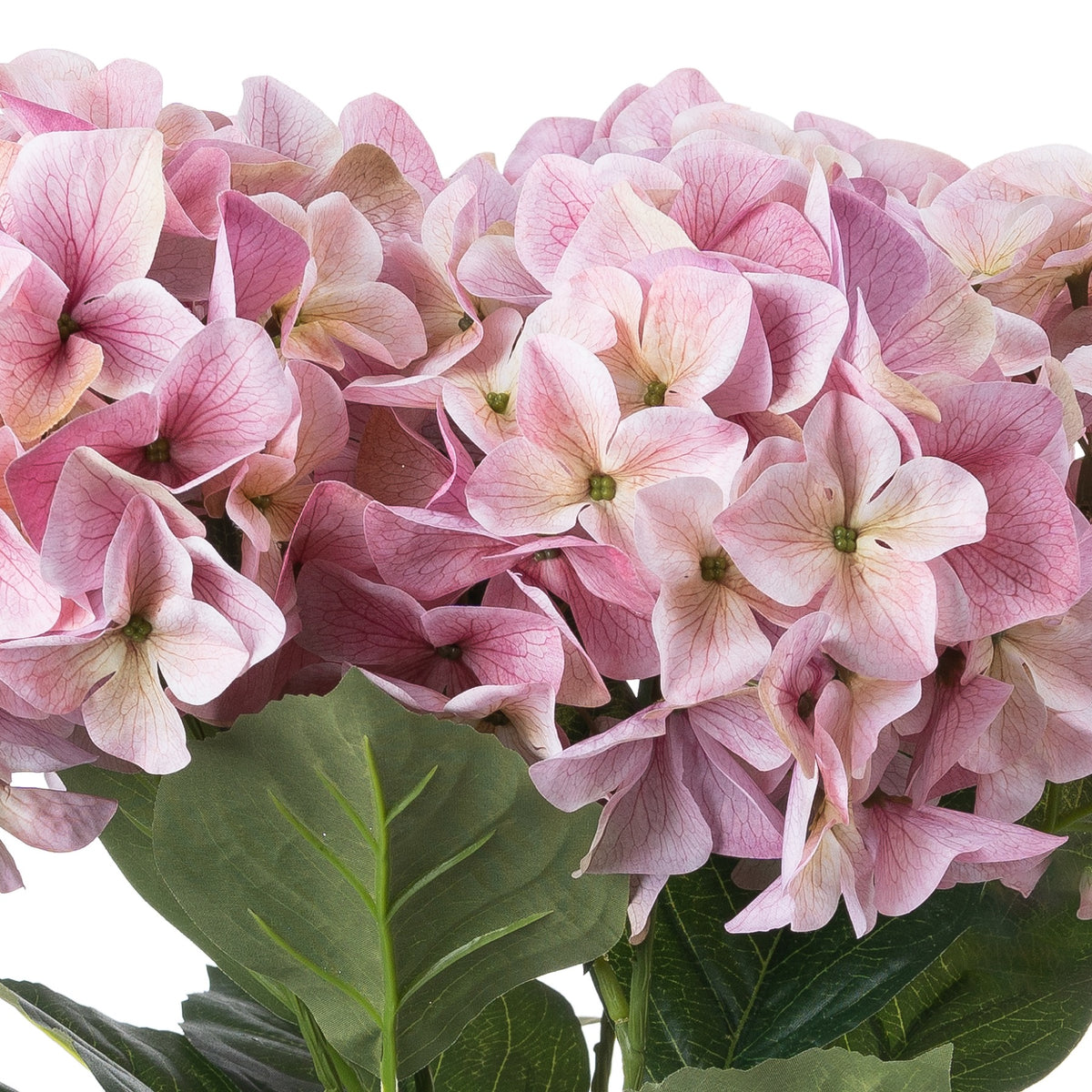 Shabby Pink Hydrangea Bouquet by Hill Interiors - image 3