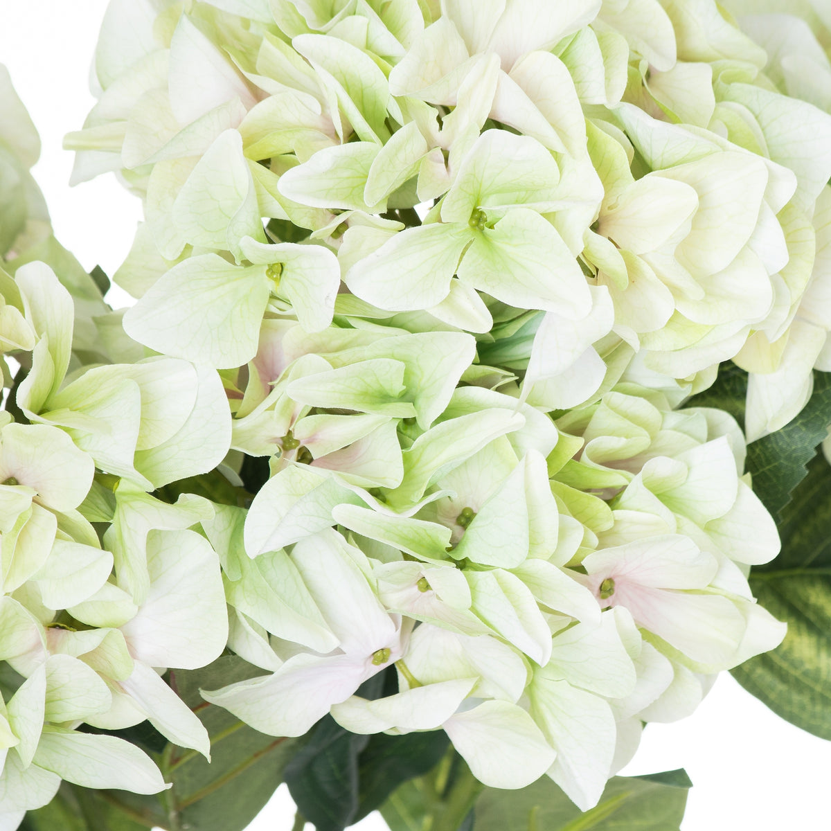 Shabby Green Hydrangea Bouquet by Hill Interiors - image 4