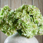 Shabby Green Hydrangea Bouquet by Hill Interiors