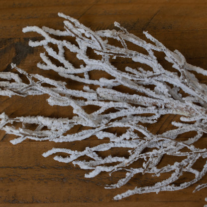 Snow Covered Branch by Hill Interiors - image 2