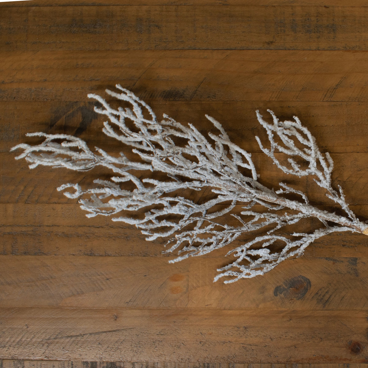Snow Covered Branch by Hill Interiors