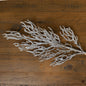 Snow Covered Branch by Hill Interiors