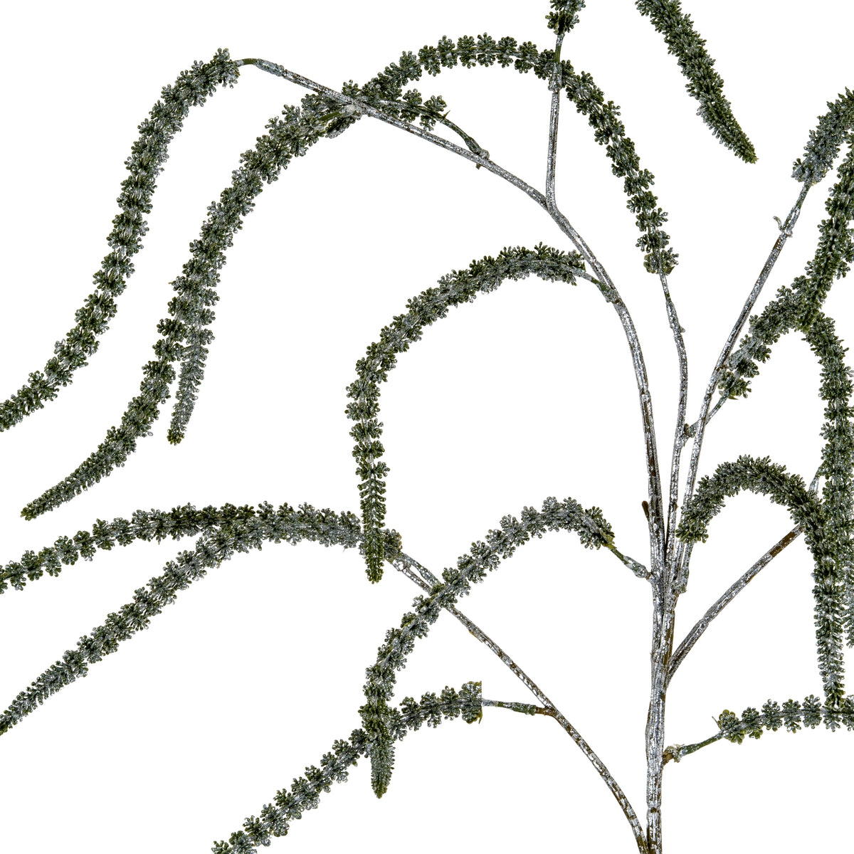 Festive Amaranthus by SEDERVA - image 2