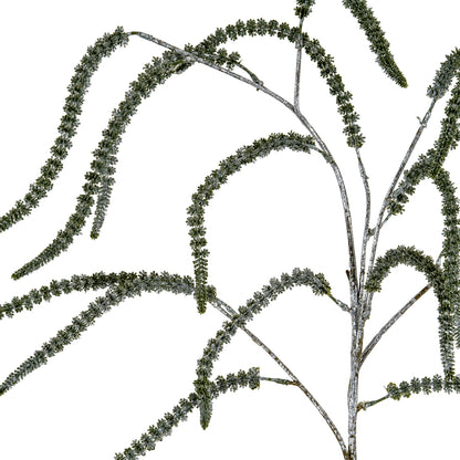 Festive Amaranthus by SEDERVA - image 2