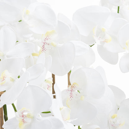 Large White Tall Orchid In Glass Pot by Hill Interiors - image 2