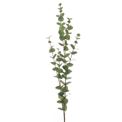 Large Cineraria Eucalyptus Spray by Hill Interiors - image 2