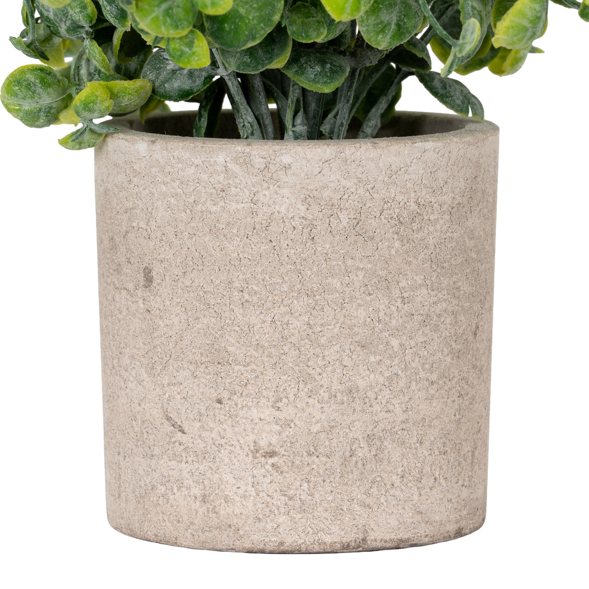 Eucalyptus Plant In Stone Effect Pot by Hill Interiors - image 3