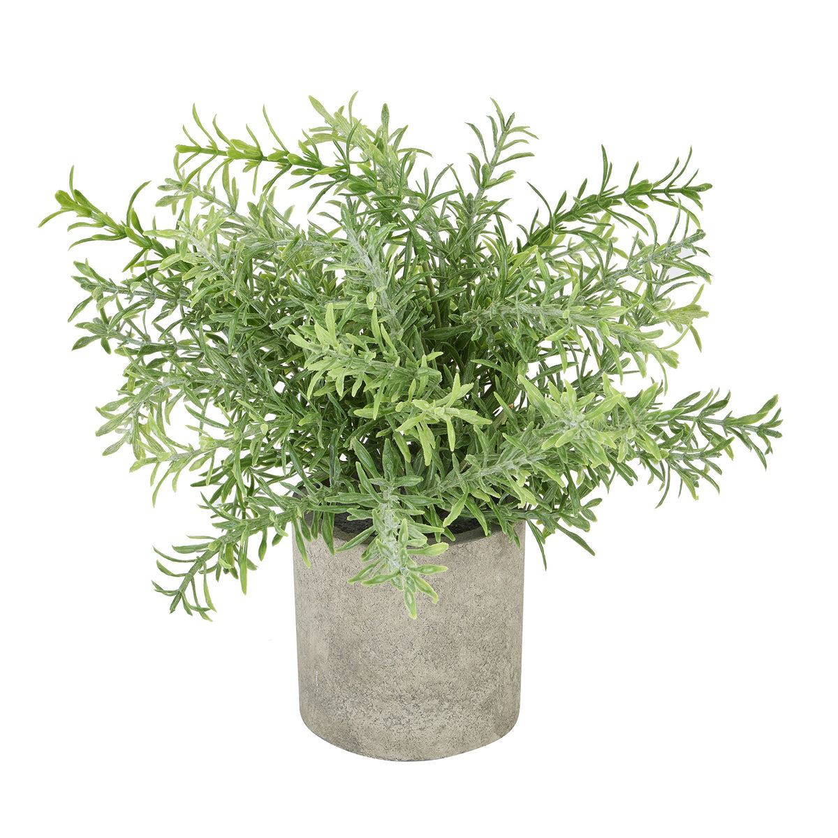 Rosemary Plant In Stone Effect Pot by Hill Interiors