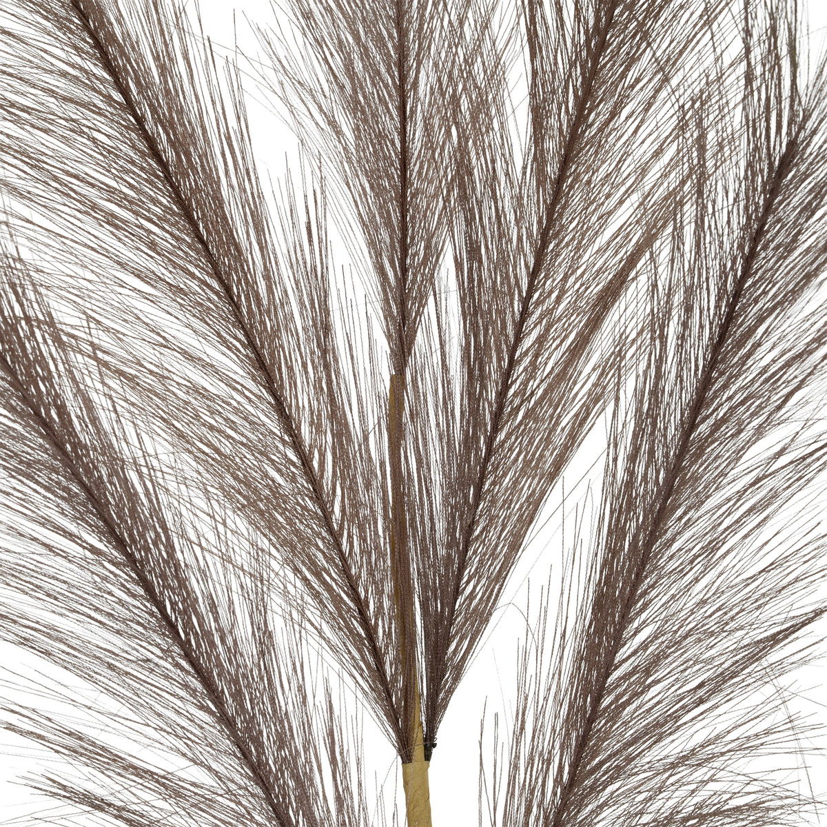 Grey Large Faux Pampas Grass Stem by Hill Interiors - image 3