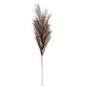 Grey Large Faux Pampas Grass Stem by Hill Interiors
