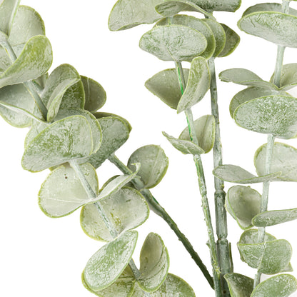 Gunnii Eucalyptus Spray by Hill Interiors - image 2