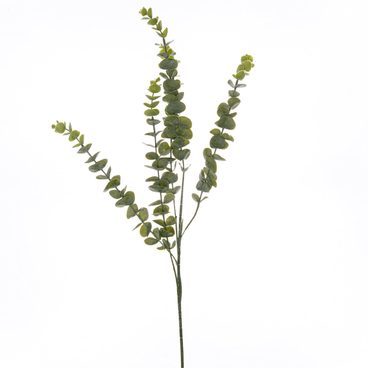 Gunnii Eucalyptus Spray by Hill Interiors