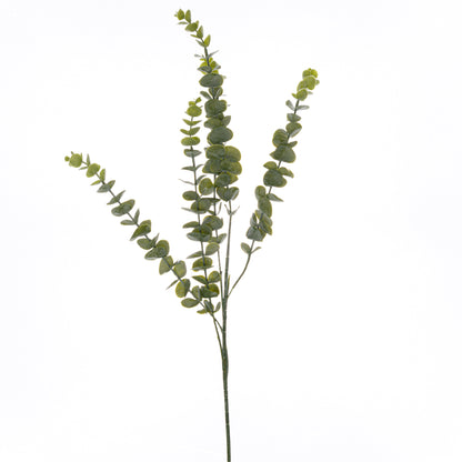 Gunnii Eucalyptus Spray by Hill Interiors