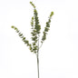 Gunnii Eucalyptus Spray by Hill Interiors