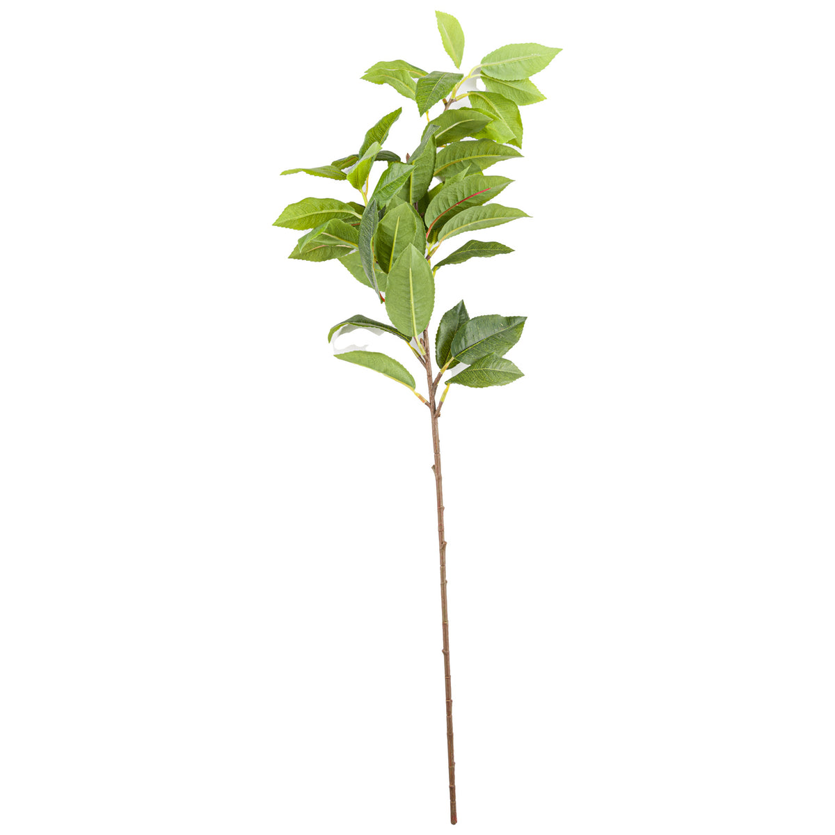 Laurel Leaf Spray by Hill Interiors - image 2