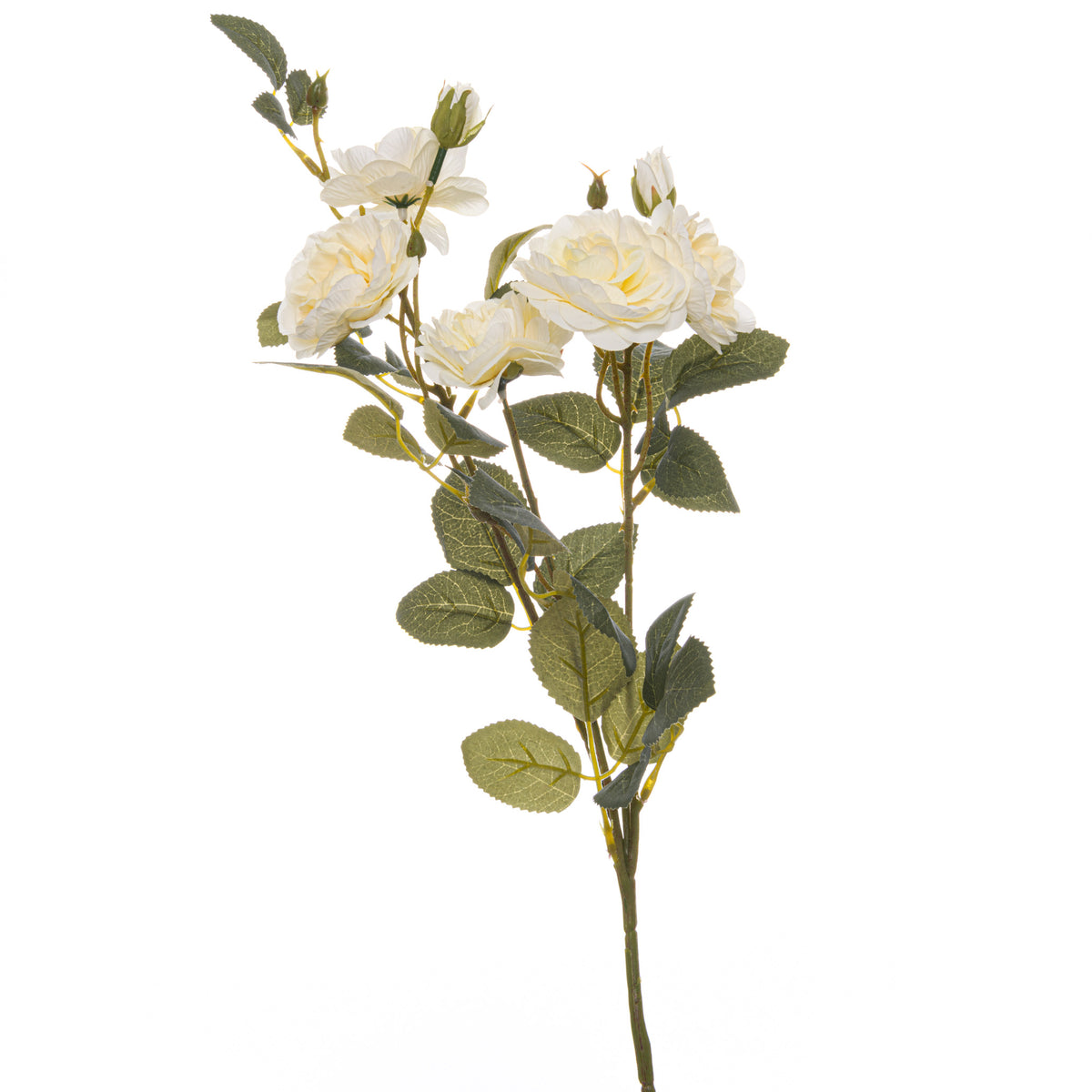 Soft White Cottage Rose Stem by Hill Interiors