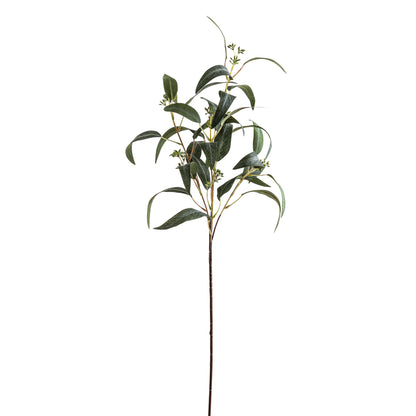 Seeded Eucalyptus Spray by Hill Interiors