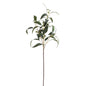 Seeded Eucalyptus Spray by Hill Interiors
