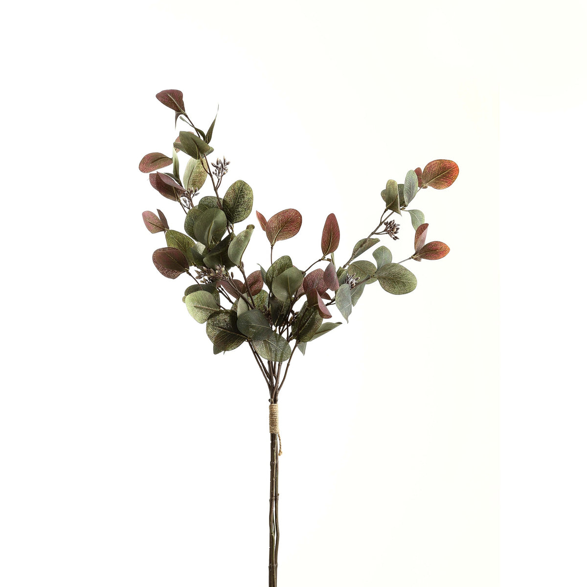 Variegated Eucalyptus Bouquet by Hill Interiors - image 2