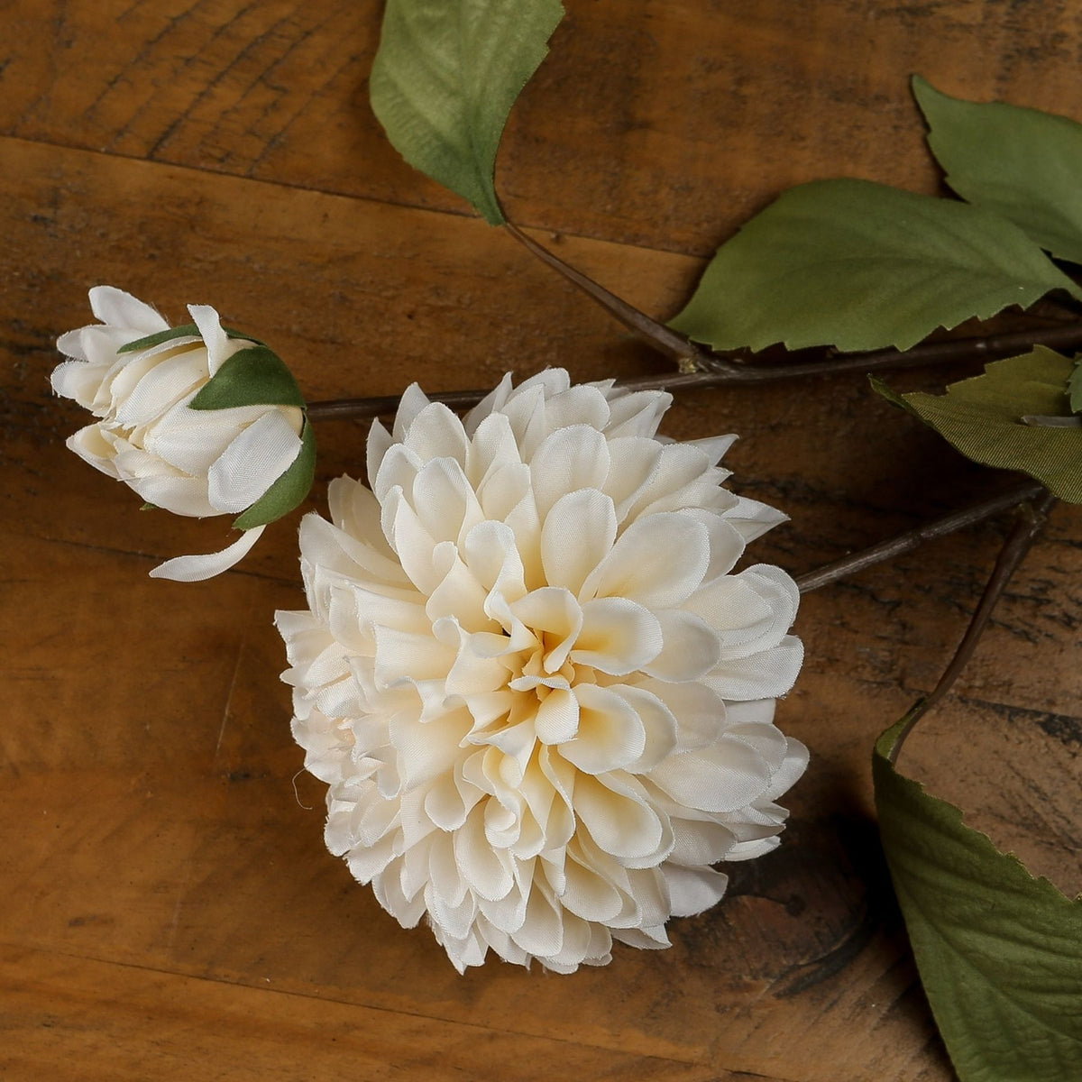White Dahlia Stem by Hill Interiors