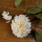White Dahlia Stem by Hill Interiors
