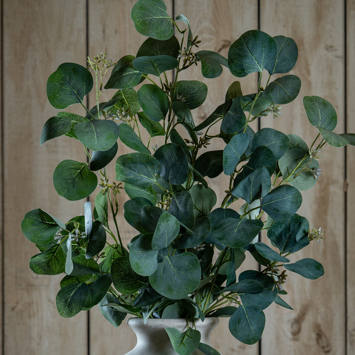 Eucalyptus Stem Spray by Hill Interiors