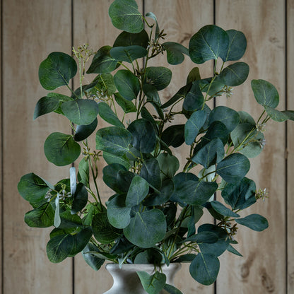 Eucalyptus Stem Spray by Hill Interiors