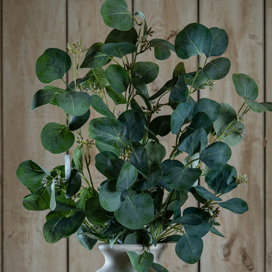 Eucalyptus Stem Spray by Hill Interiors