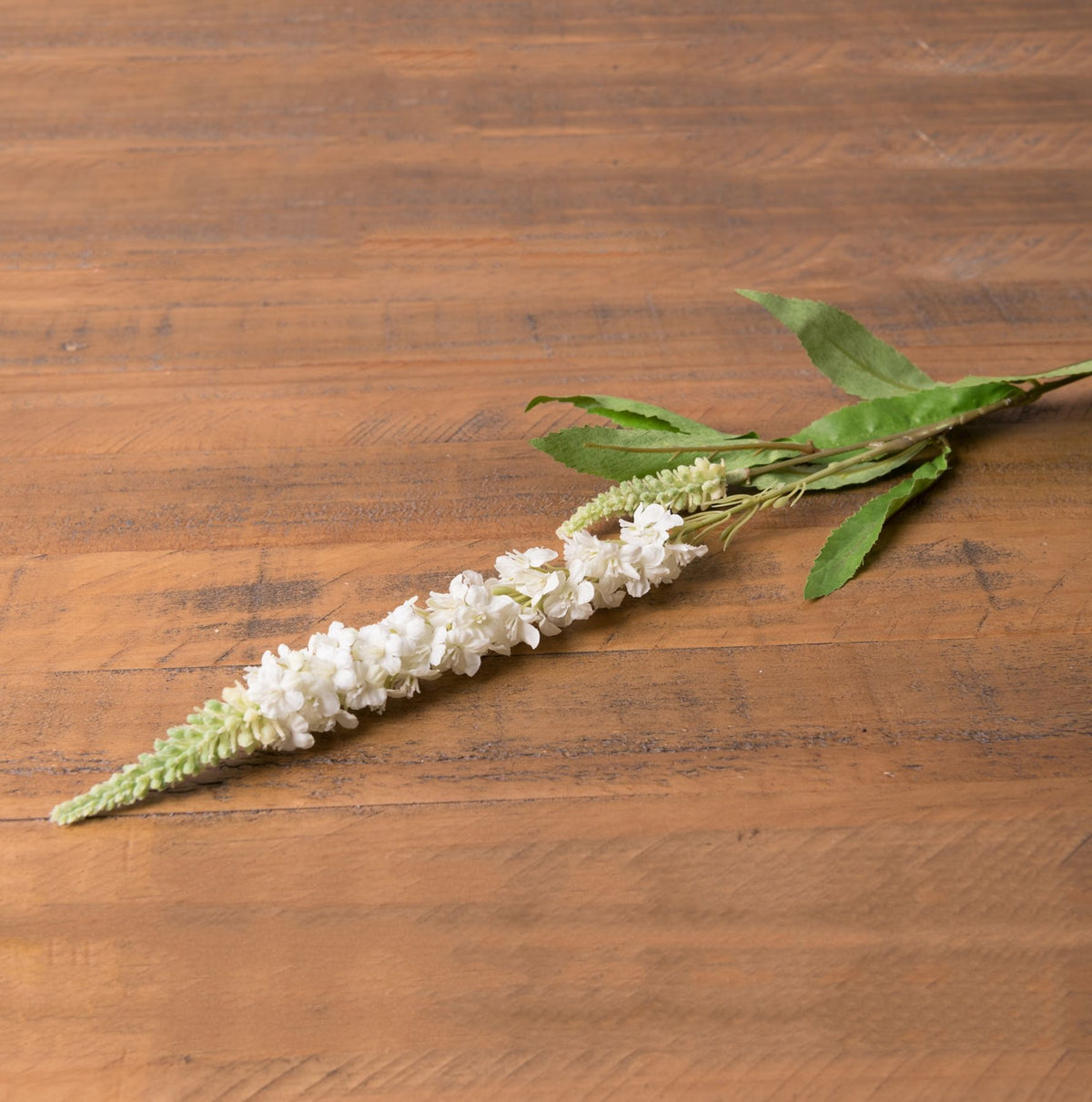 White Veronica Stem by SEDERVA